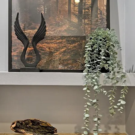 Krupówki Vip Odkryj